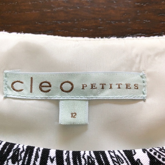 Cleo Petite Size: 12 Dress - Picture 7 of 9